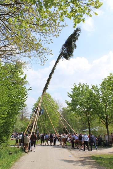 1.Mai