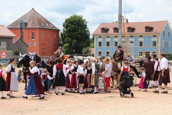Ehrungen