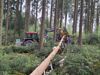 Maibaum