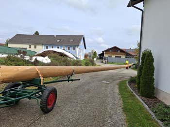 Maibaum