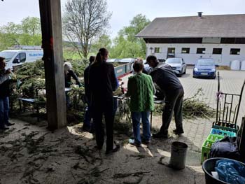 Maibaum