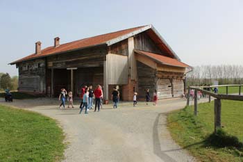 Osternestsuchen