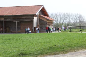 Osternestsuchen
