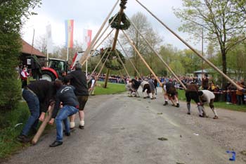 1.Mai