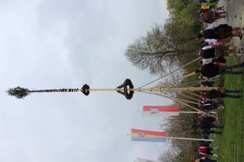 1.Mai