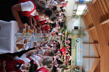 Festprogramm