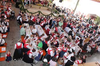 Festprogramm