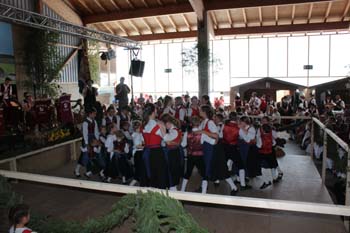 Festprogramm