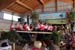 Festprogramm