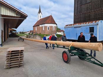 Maibaumdiebe