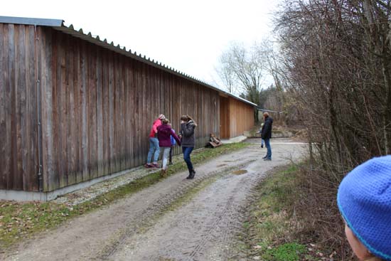 Osternestsuchen